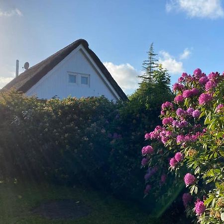 Ferienhaus Butterblume Südbrookmerland 外观 照片