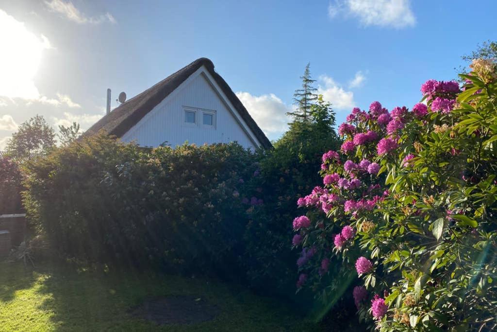 Ferienhaus Butterblume Südbrookmerland 外观 照片